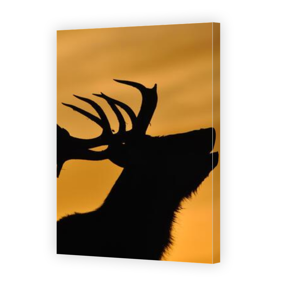 Thumbnail for Canvas - Gallery Canvas Wrap
