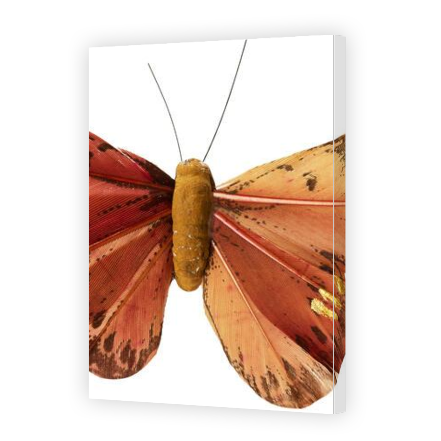 Thumbnail for Canvas - Gallery Canvas Wrap