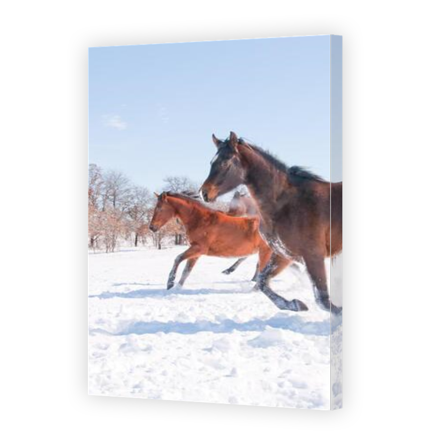 Thumbnail for Canvas - Gallery Canvas Wrap