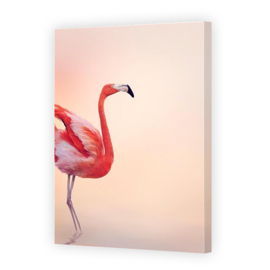 Thumbnail for Canvas - Gallery Canvas Wrap