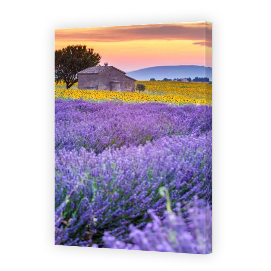 Thumbnail for Canvas - Gallery Canvas Wrap