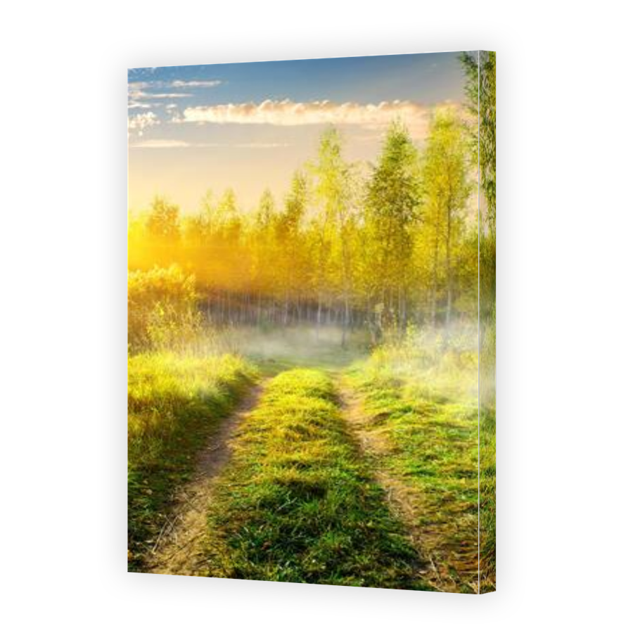 Thumbnail for Canvas - Gallery Canvas Wrap