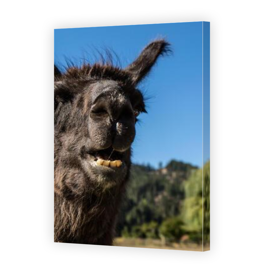 Thumbnail for Canvas - Gallery Canvas Wrap