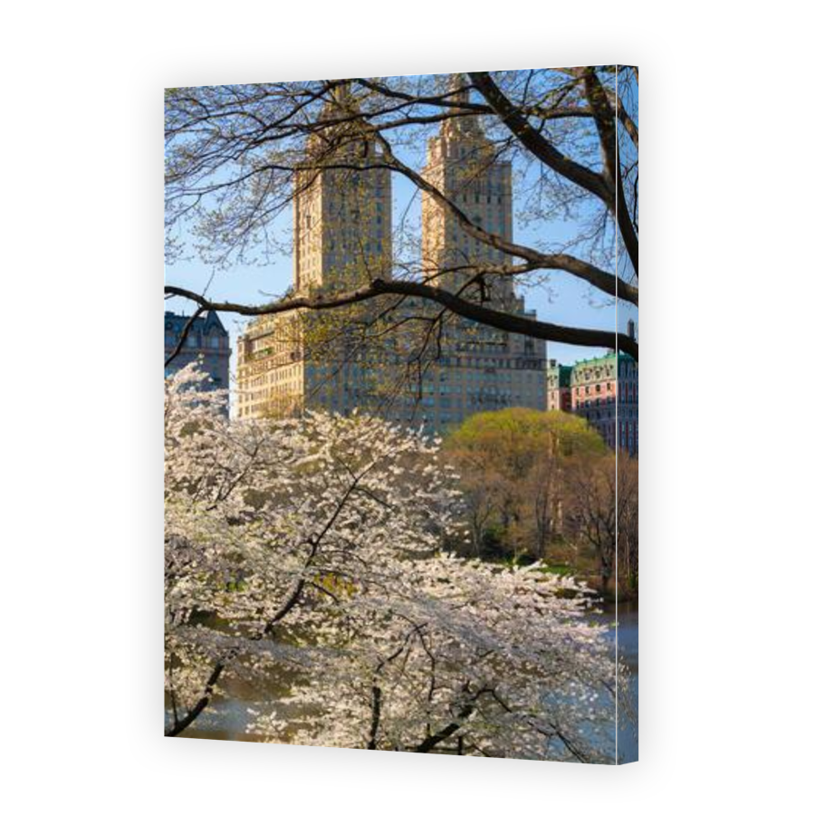 Thumbnail for Canvas - Gallery Canvas Wrap