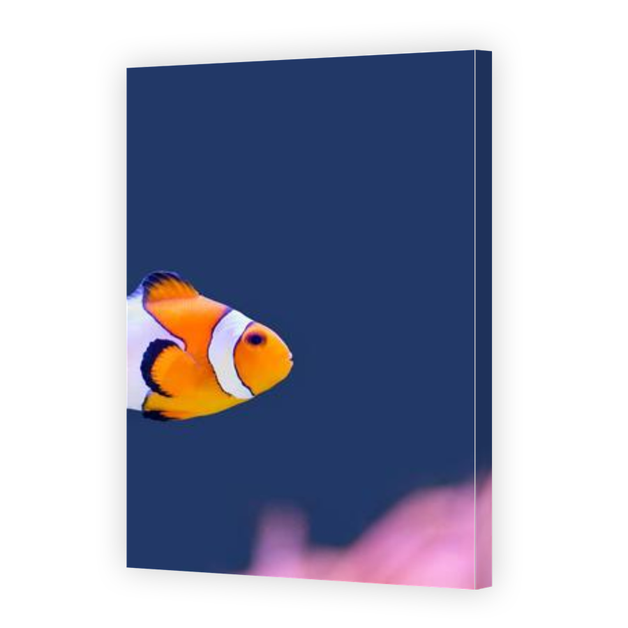 Thumbnail for Canvas - Gallery Canvas Wrap
