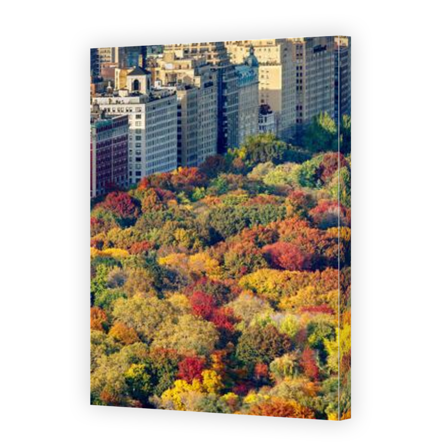Thumbnail for Canvas - Gallery Canvas Wrap