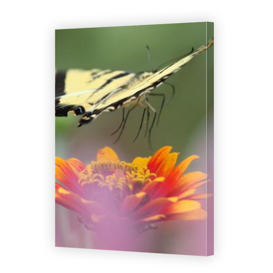 Thumbnail for Canvas - Gallery Canvas Wrap