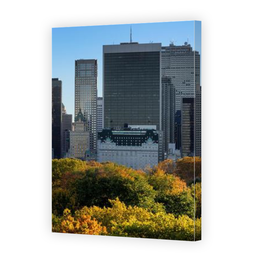 Thumbnail for Canvas - Gallery Canvas Wrap