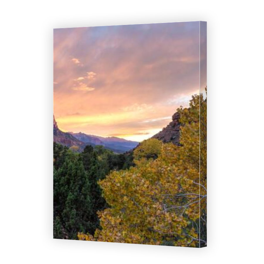 Thumbnail for Canvas - Gallery Canvas Wrap