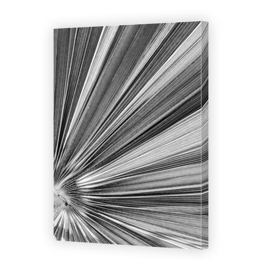 Thumbnail for Canvas - Gallery Canvas Wrap