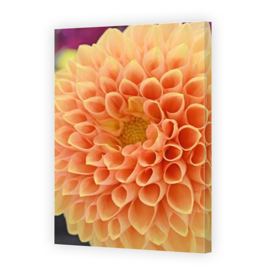 Thumbnail for Canvas - Gallery Canvas Wrap
