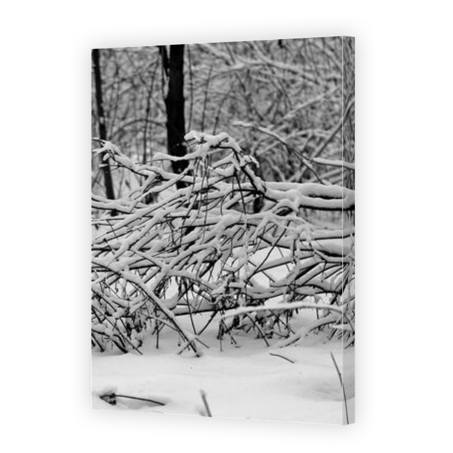 Thumbnail for Canvas - Gallery Canvas Wrap