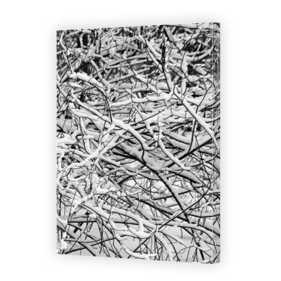 Thumbnail for Canvas - Gallery Canvas Wrap