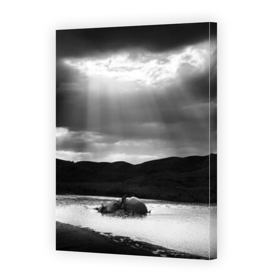 Thumbnail for Canvas - Gallery Canvas Wrap