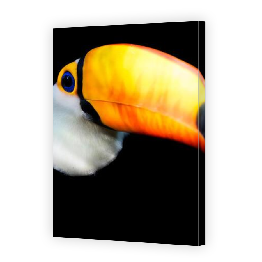 Thumbnail for Canvas - Gallery Canvas Wrap
