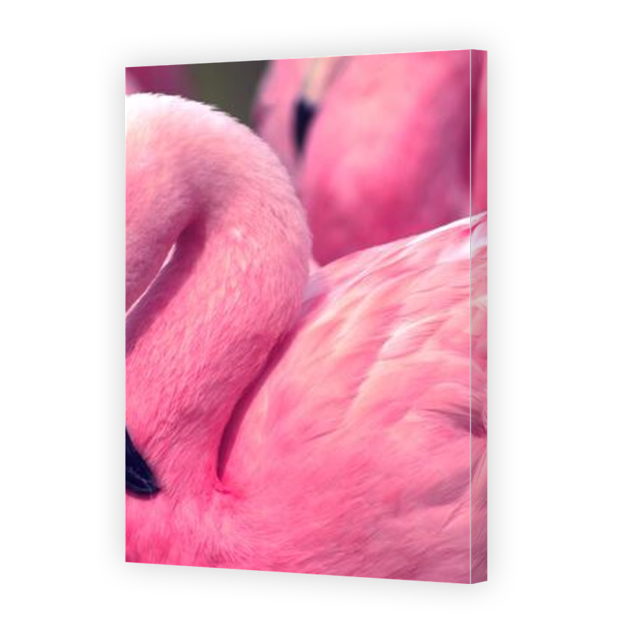 Thumbnail for Canvas - Gallery Canvas Wrap