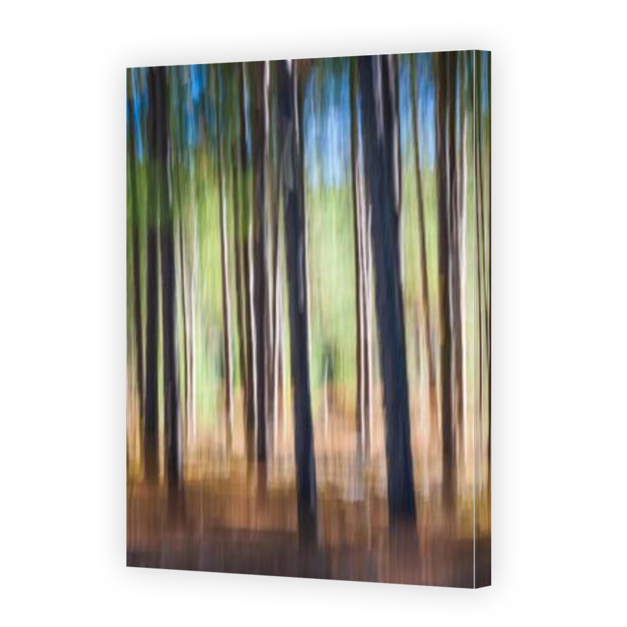 Thumbnail for Canvas - Gallery Canvas Wrap