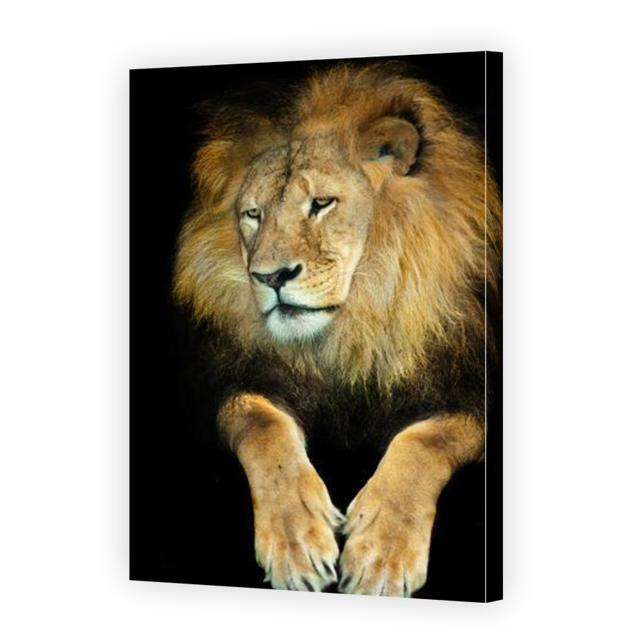 Thumbnail for Canvas - Gallery Canvas Wrap