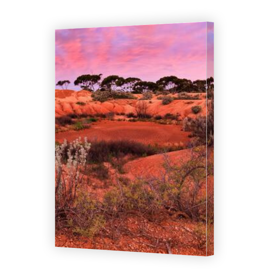 Thumbnail for Canvas - Gallery Canvas Wrap