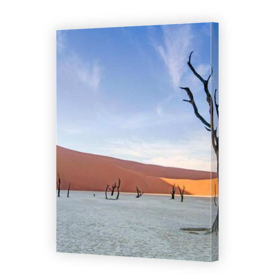 Thumbnail for Canvas - Gallery Canvas Wrap