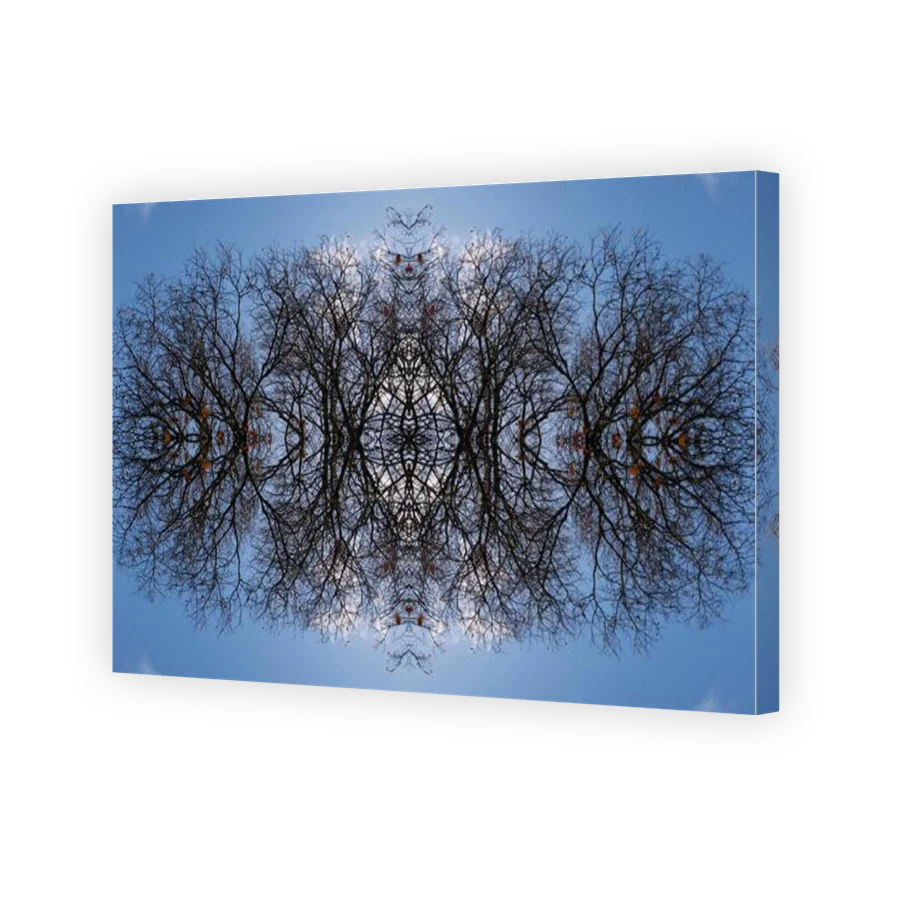 Thumbnail for Canvas - Gallery Canvas Wrap