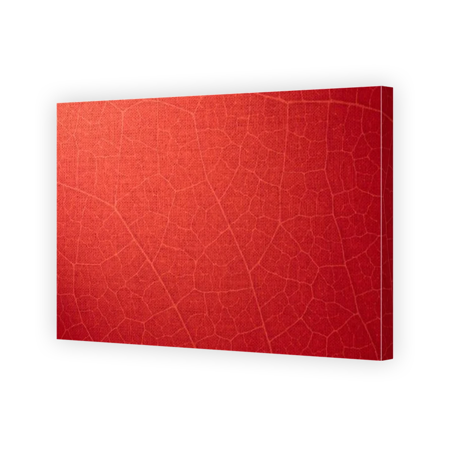 Thumbnail for Canvas - Gallery Canvas Wrap