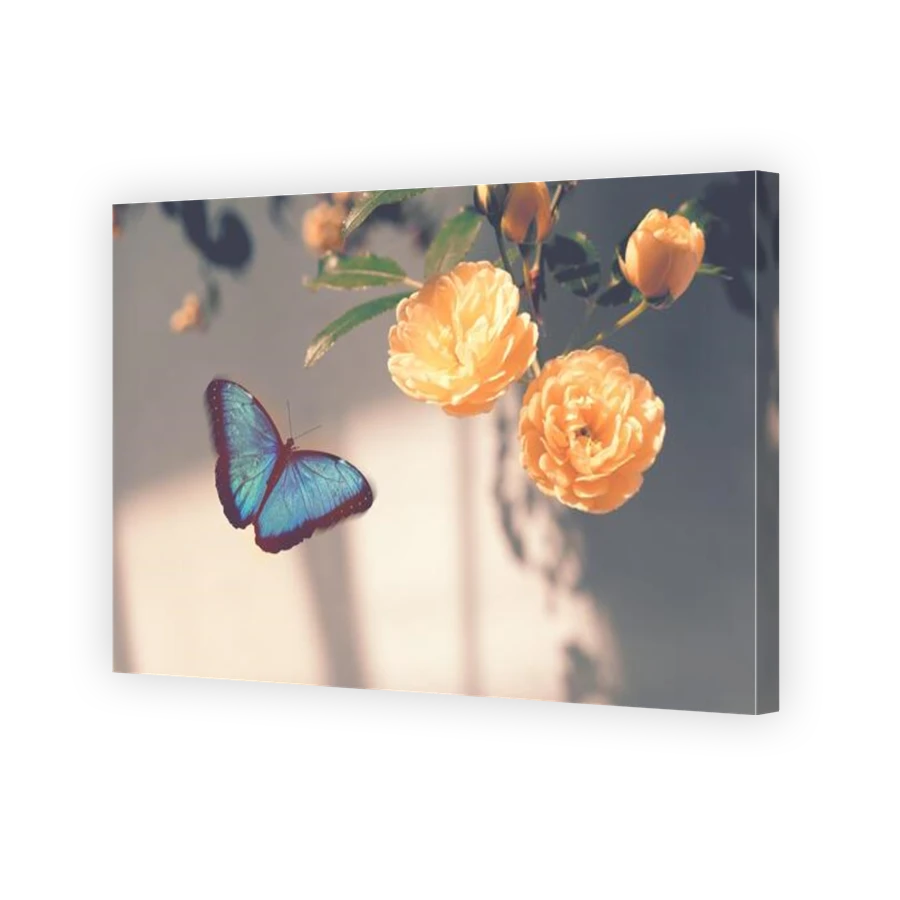 Thumbnail for Canvas - Gallery Canvas Wrap