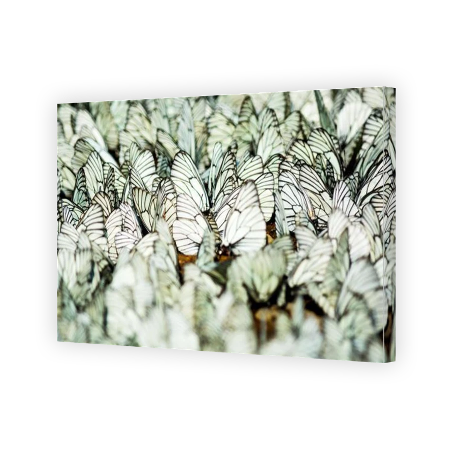 Thumbnail for Canvas - Gallery Canvas Wrap