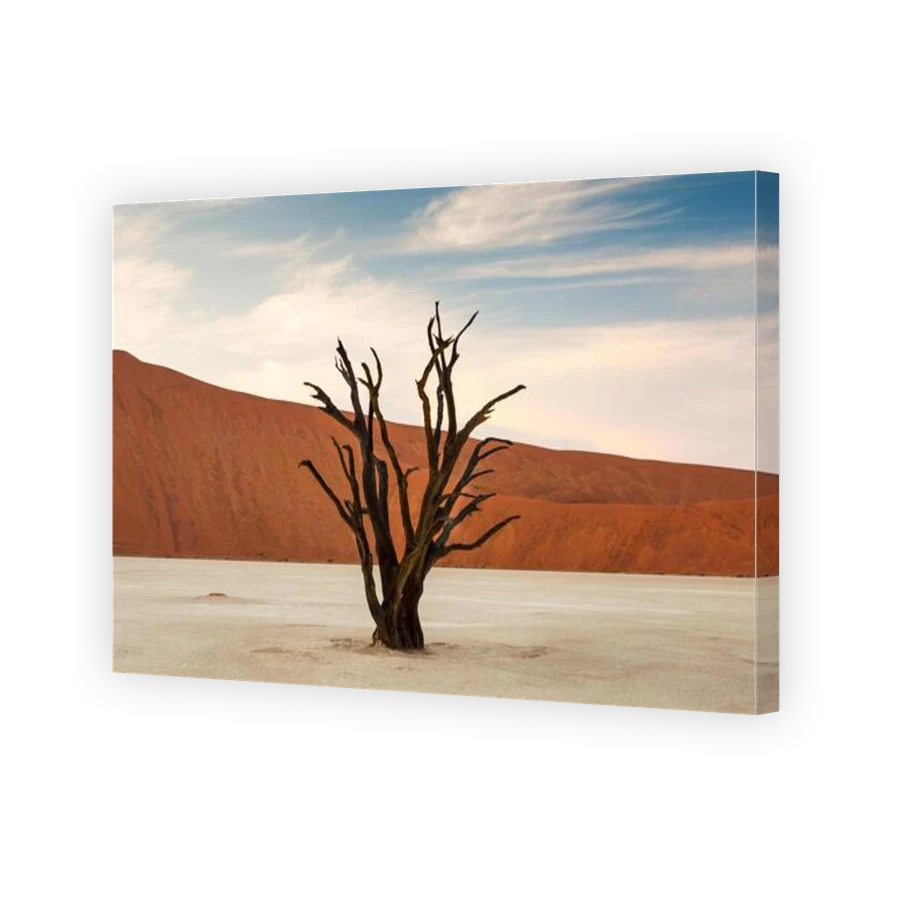 Thumbnail for Canvas - Gallery Canvas Wrap