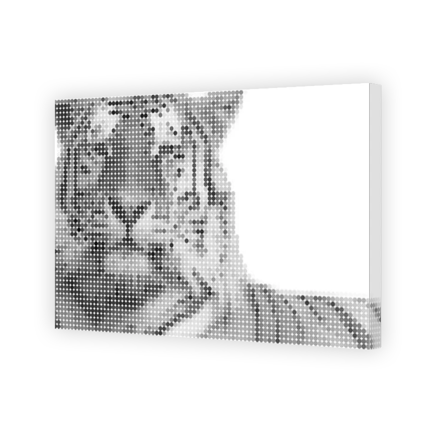 Thumbnail for Canvas - Gallery Canvas Wrap