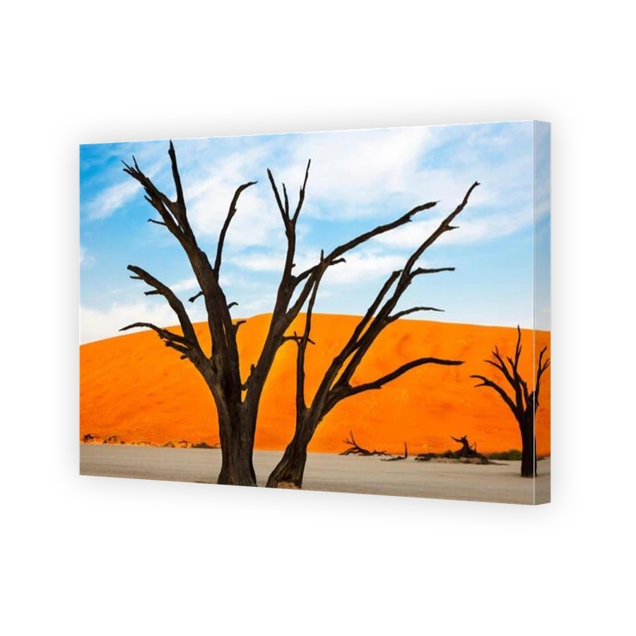 Thumbnail for Canvas - Gallery Canvas Wrap