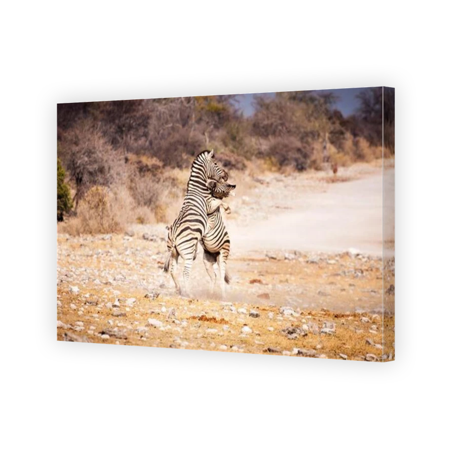 Thumbnail for Canvas - Gallery Canvas Wrap