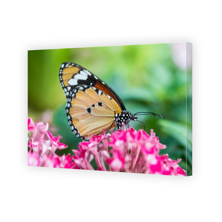 Thumbnail for Canvas - Gallery Canvas Wrap
