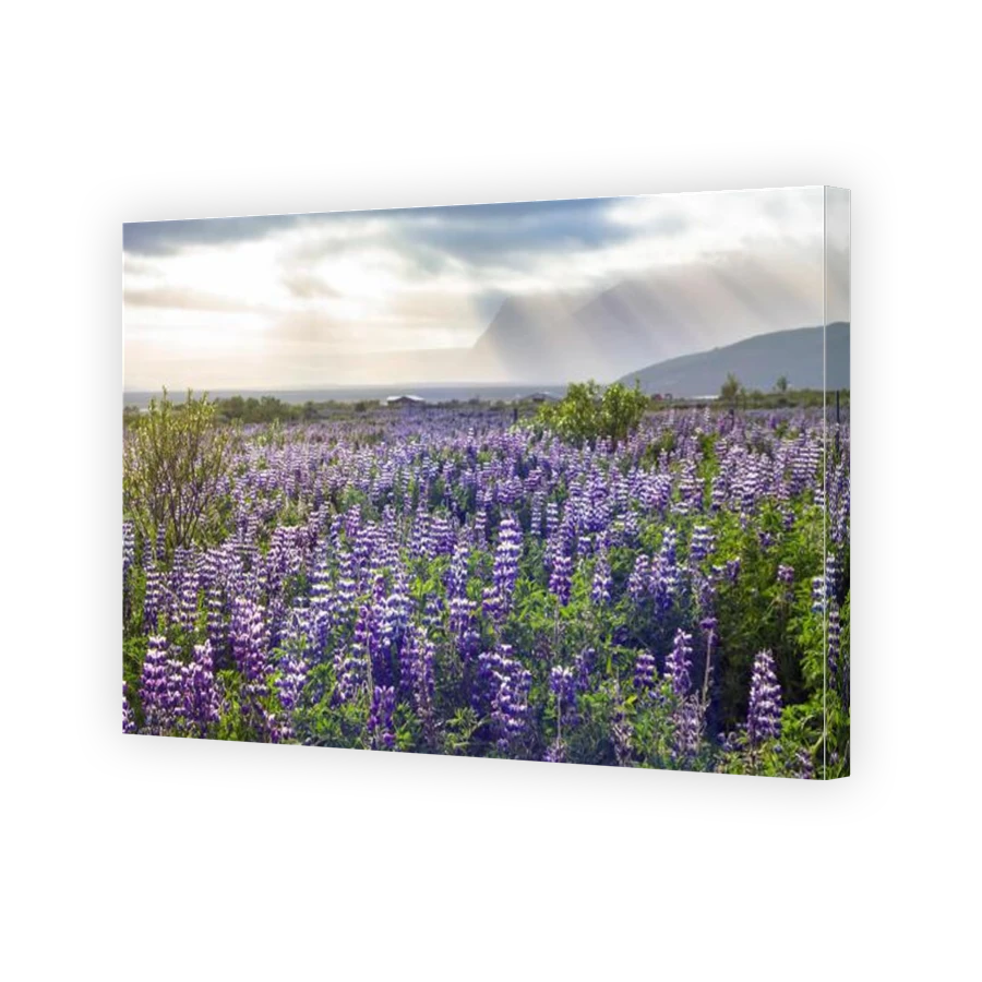 Thumbnail for Canvas - Gallery Canvas Wrap