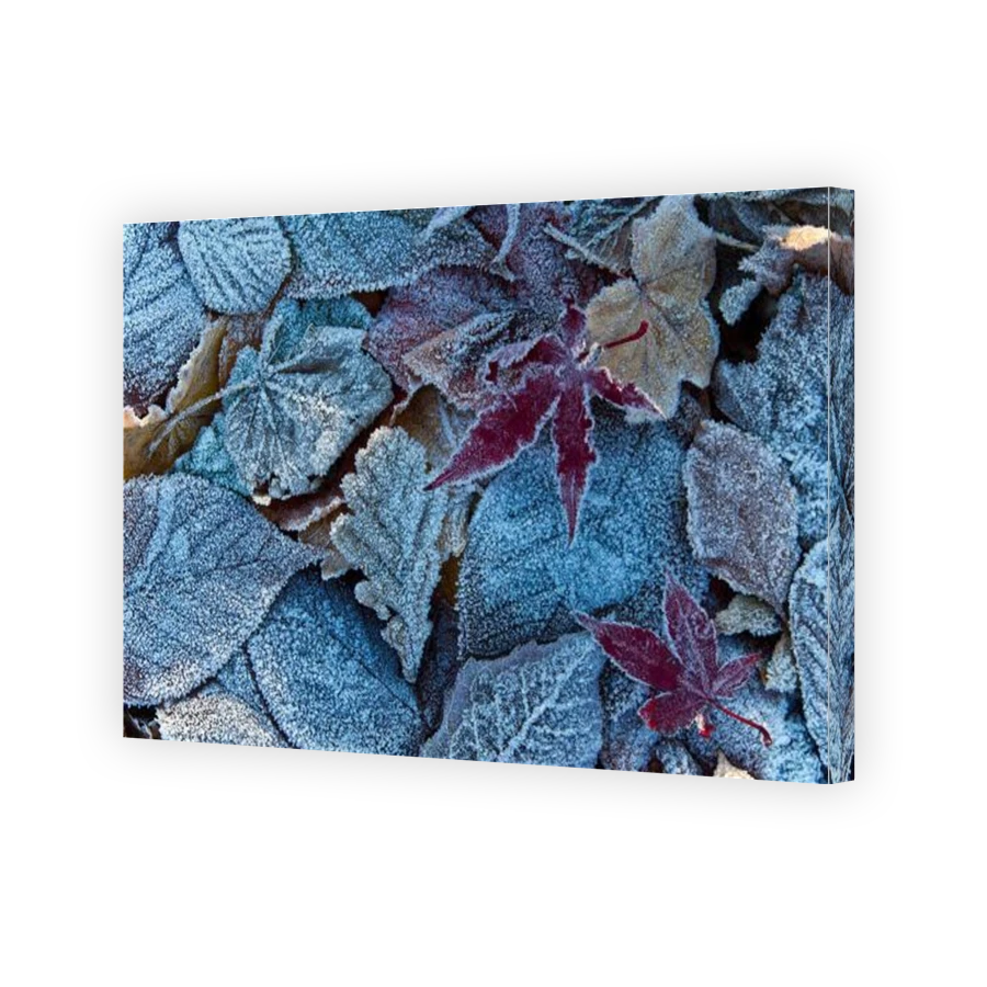 Thumbnail for Canvas - Gallery Canvas Wrap