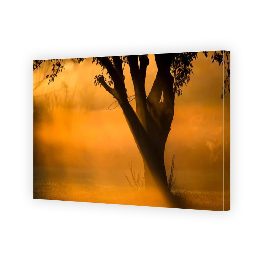 Thumbnail for Canvas - Gallery Canvas Wrap
