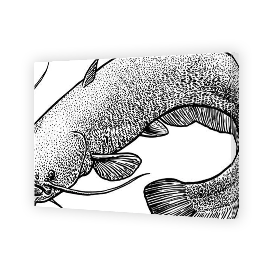 Thumbnail for Canvas - Gallery Canvas Wrap