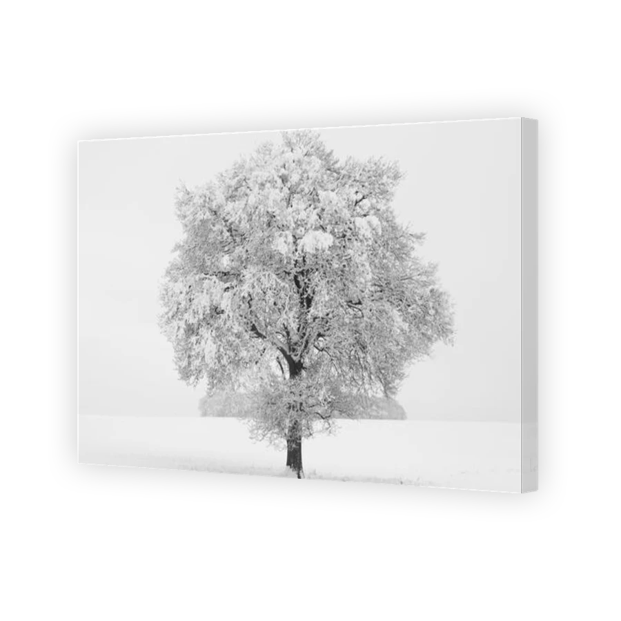 Thumbnail for Canvas - Gallery Canvas Wrap