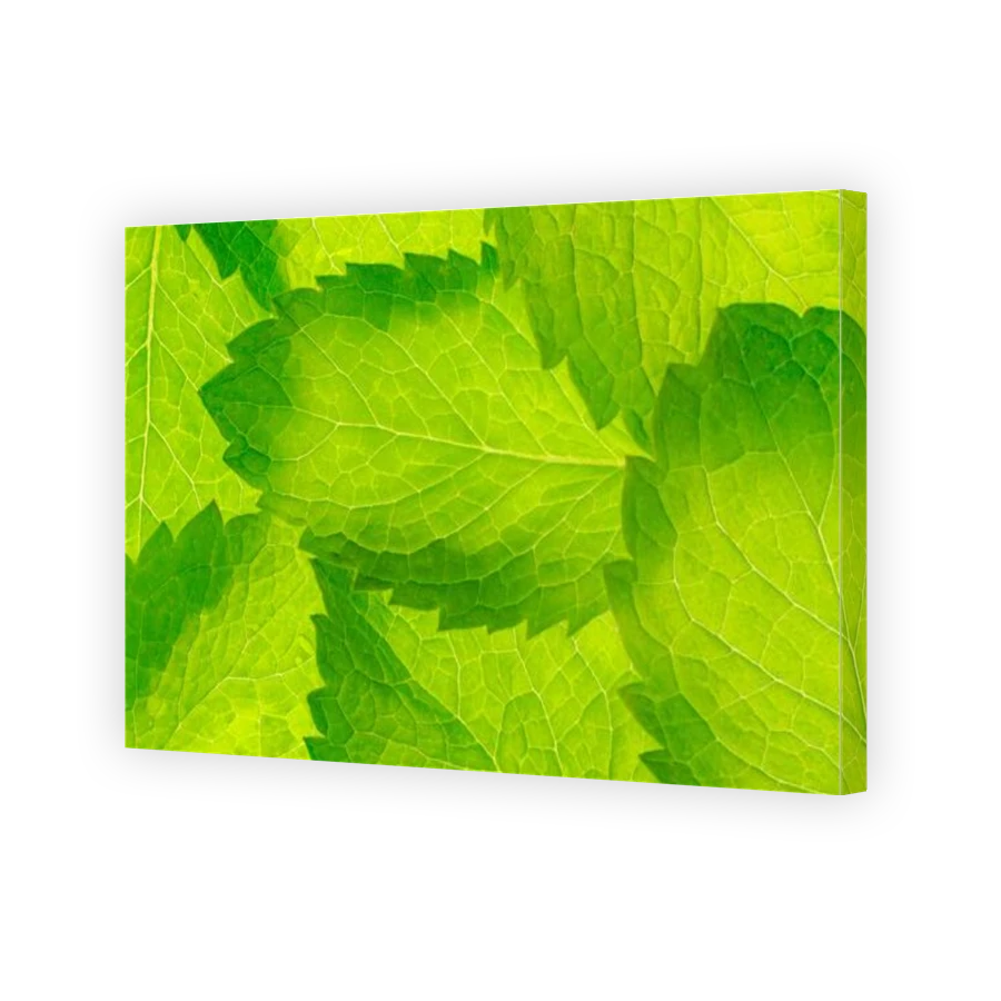 Thumbnail for Canvas - Gallery Canvas Wrap
