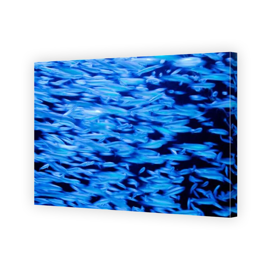 Thumbnail for Canvas - Gallery Canvas Wrap