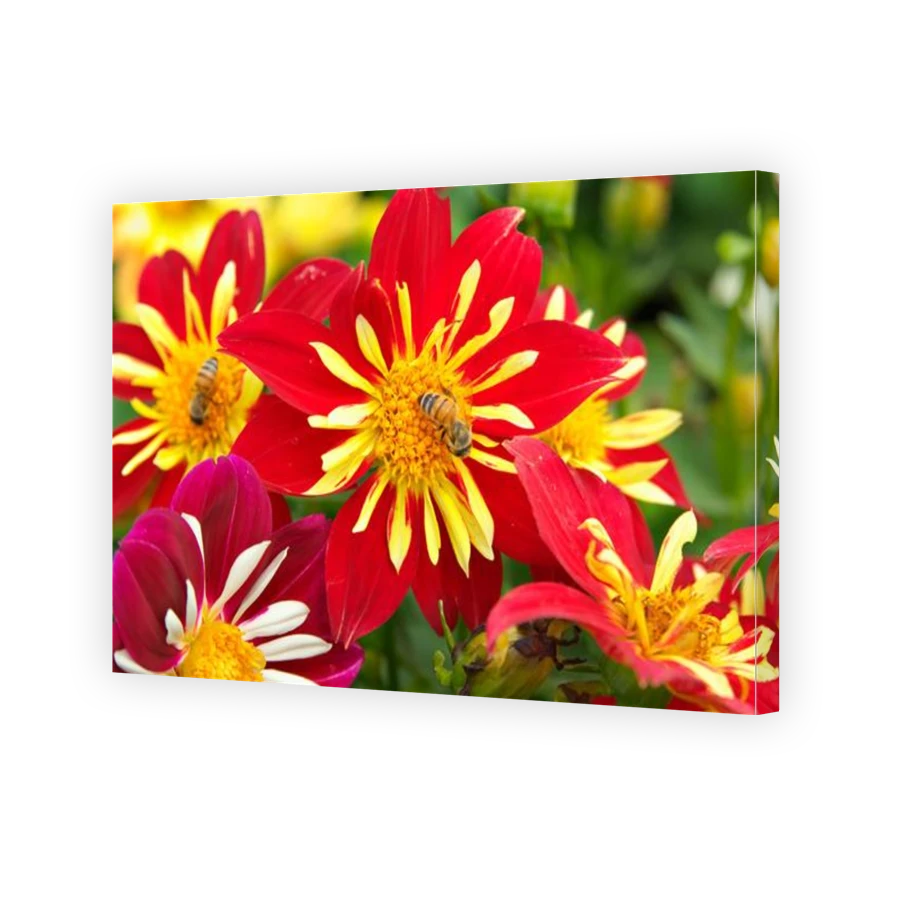 Thumbnail for Canvas - Gallery Canvas Wrap