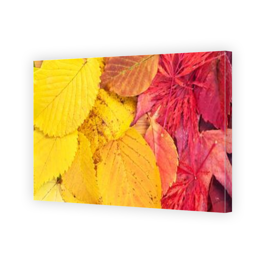 Thumbnail for Canvas - Gallery Canvas Wrap