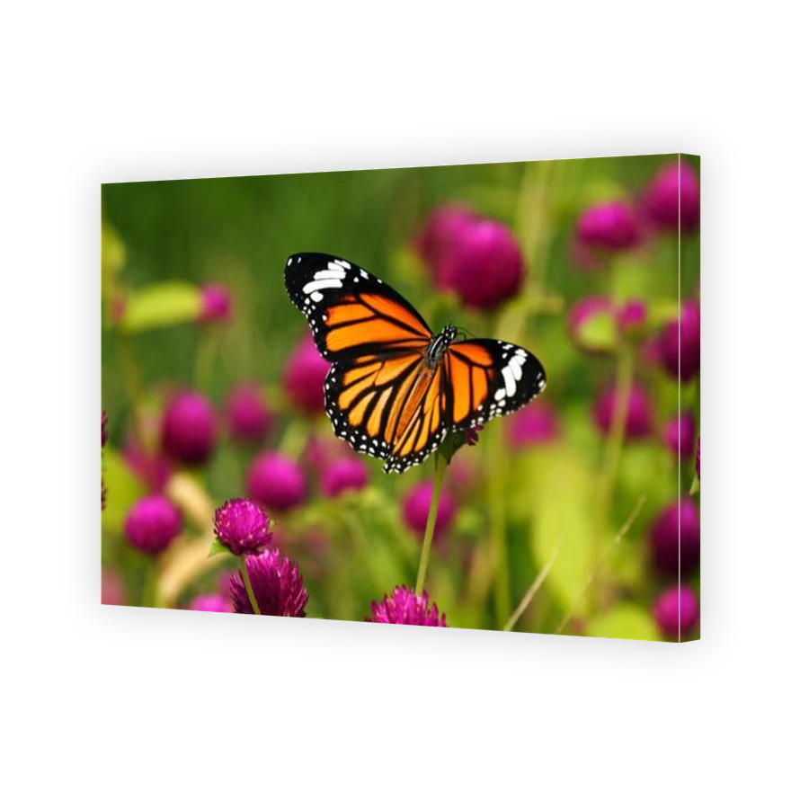 Thumbnail for Canvas - Gallery Canvas Wrap