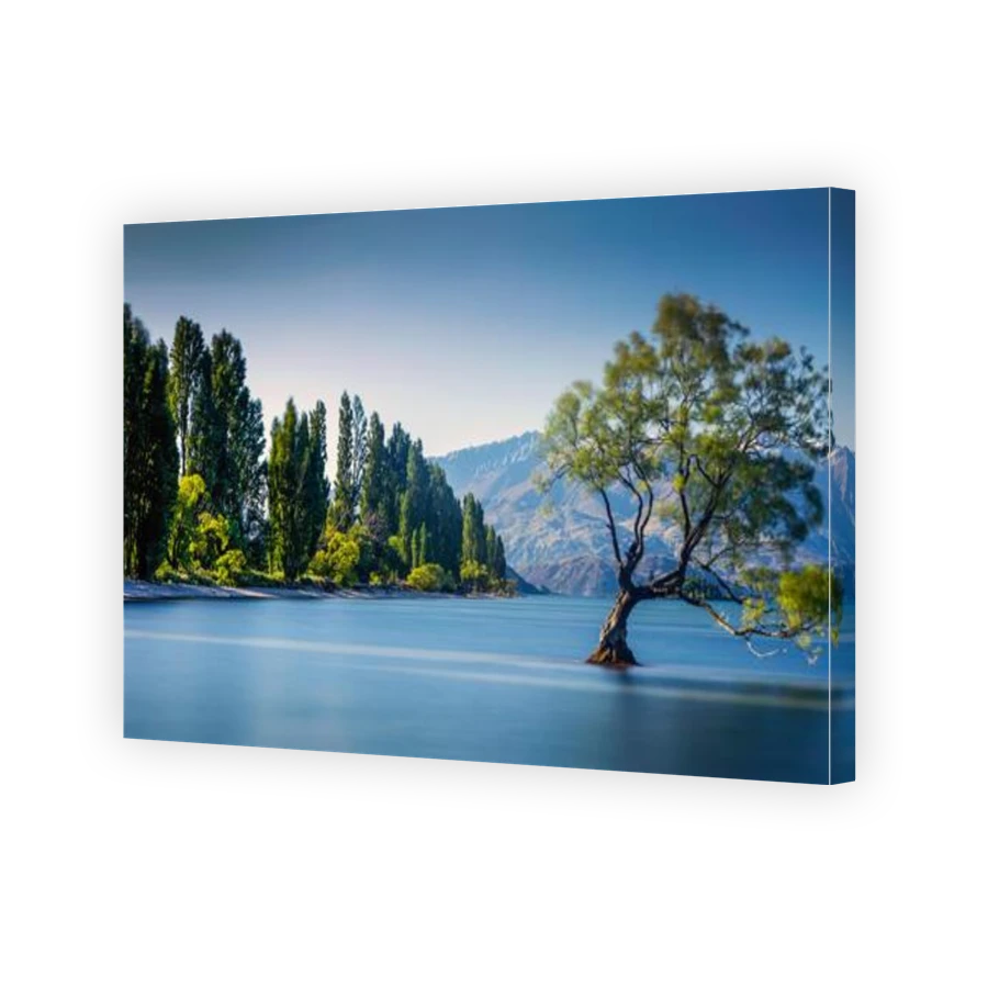 Thumbnail for Canvas - Gallery Canvas Wrap
