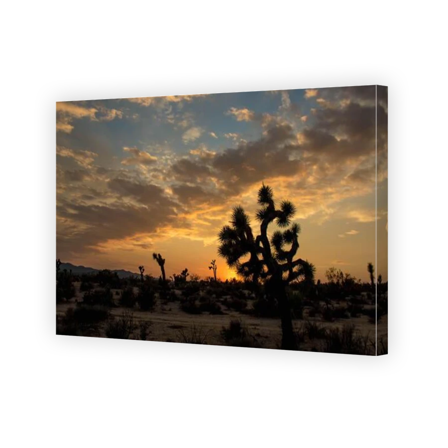 Thumbnail for Canvas - Gallery Canvas Wrap