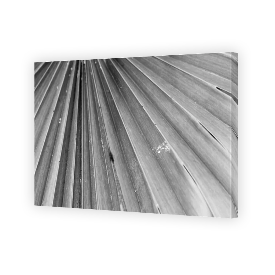 Thumbnail for Canvas - Gallery Canvas Wrap
