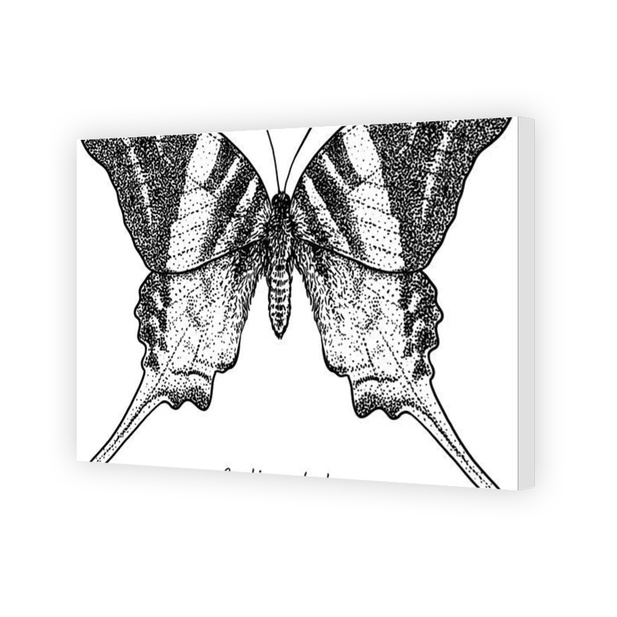 Thumbnail for Canvas - Gallery Canvas Wrap