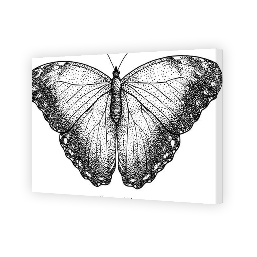 Thumbnail for Canvas - Gallery Canvas Wrap