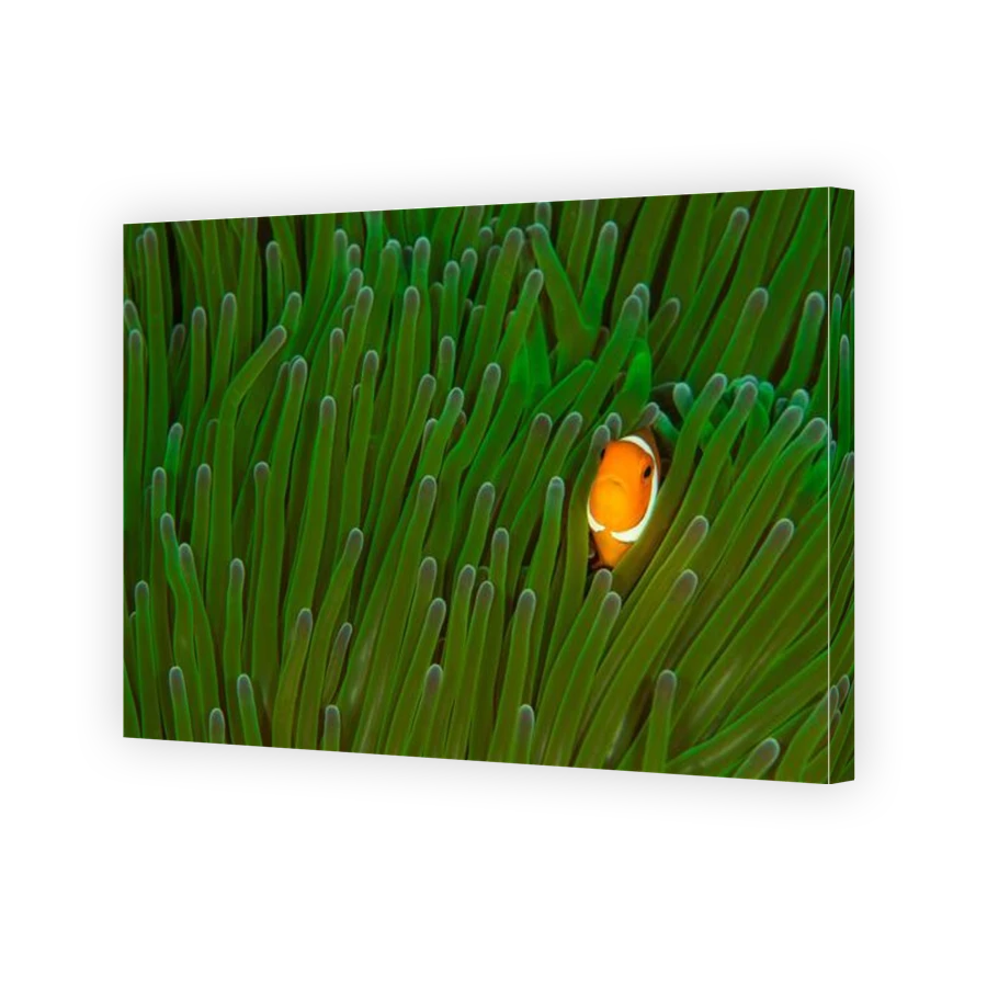 Thumbnail for Canvas - Gallery Canvas Wrap