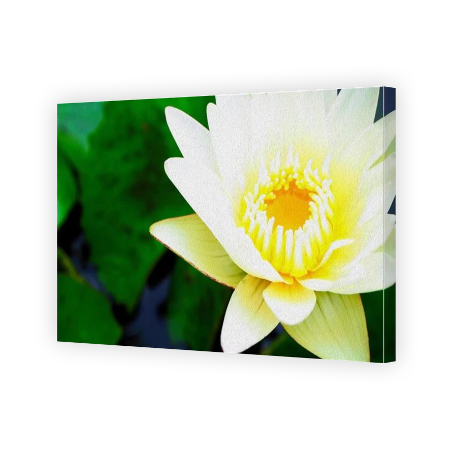 Thumbnail for Canvas - Gallery Canvas Wrap